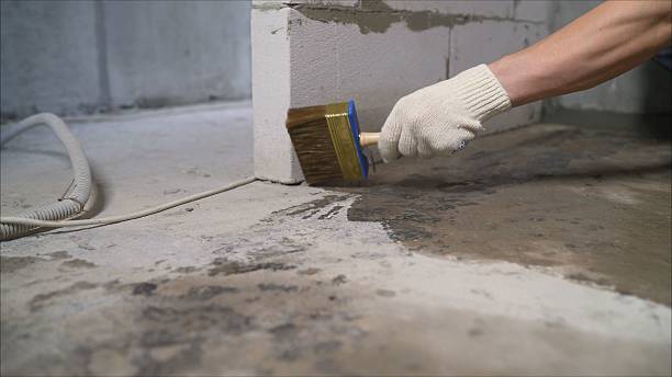 SJ Waterproofing Pros Waterproofing coverage map for Shiloh, IL and surrounding area